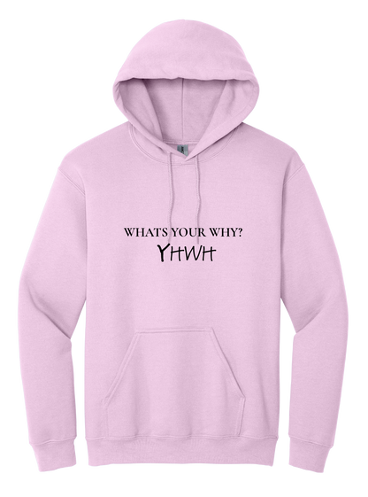 Whats Your Why Unisex Hooded Sweatshirt