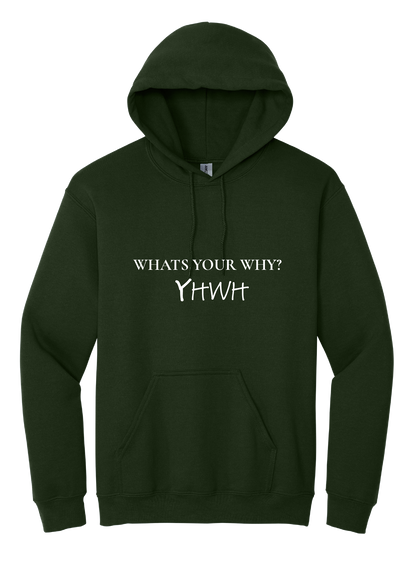 Whats Your Why Unisex Hooded Sweatshirt